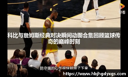 红桃国际网站