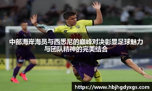 红桃国际官网
